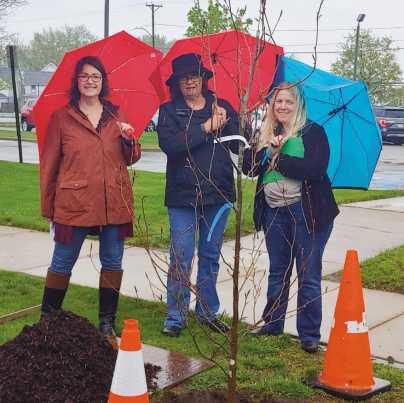 Arbor Day Foundation names Rossford a 2023 Tree City USA