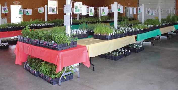 Friends of Wood County Parks host annual native plant sale at fairgrounds