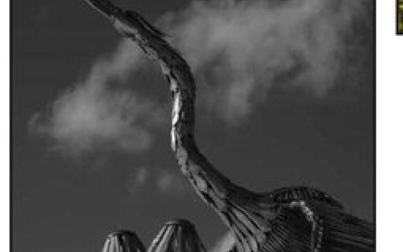 Winning photographs named in Sculpture Walk Winter Photo Contest