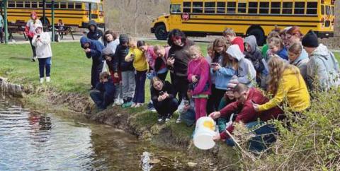Rossford sixth graders watch as trout hatchlings are released.