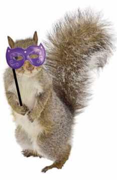 Guests of the fund-raiser are invited to dress as their favorite animals with costumes, masks or animal print attire.