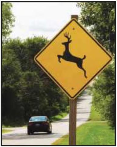 Ohio Highway Patrol warns motorists to look out for deer