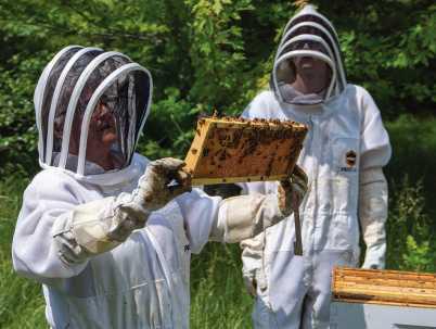 Honeybee hives produce unexpected opportunities for Owens Community