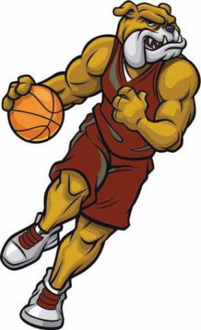 Bulldogs edged by Ottawa-Glandorf, 58-54