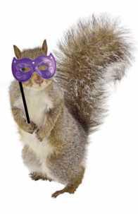 Guests of the fund-raiser are invited to dress as their favorite animals with costumes, masks or animal print attire.