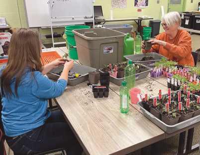 A volunteer helps staff up-potting plants for office gardens.