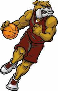 Rossford Bulldogs soar past Lake Flyers, 61-31