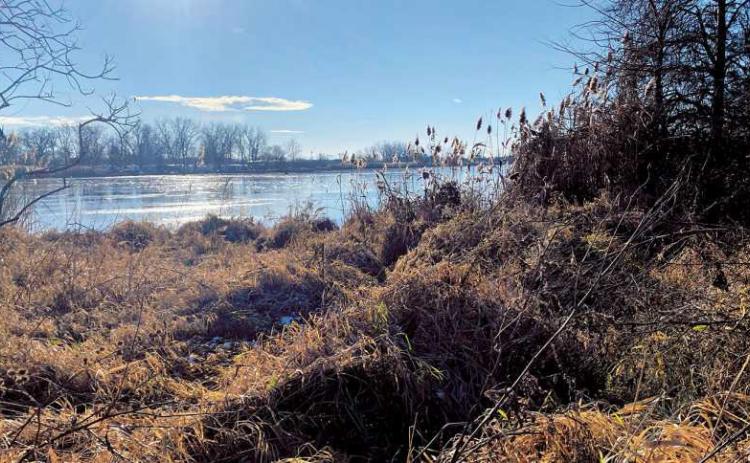 West Harbor Preserve includes marsh and shoreline areas.