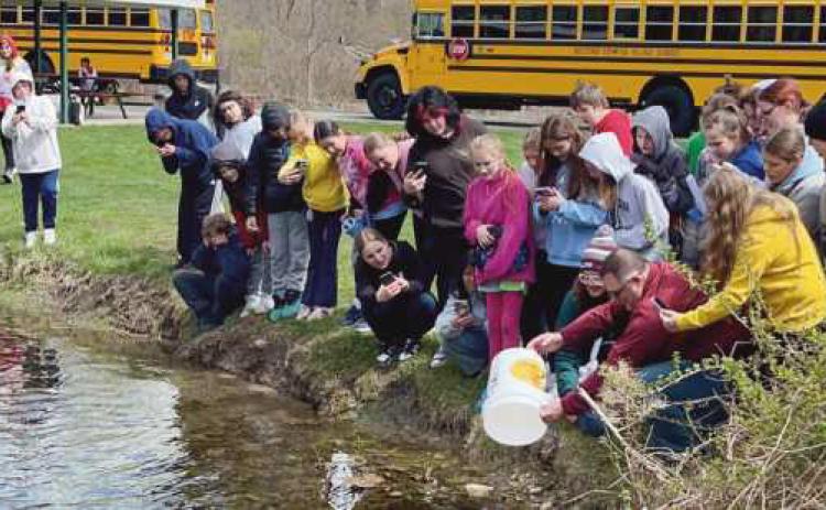 Rossford sixth graders watch as trout hatchlings are released.