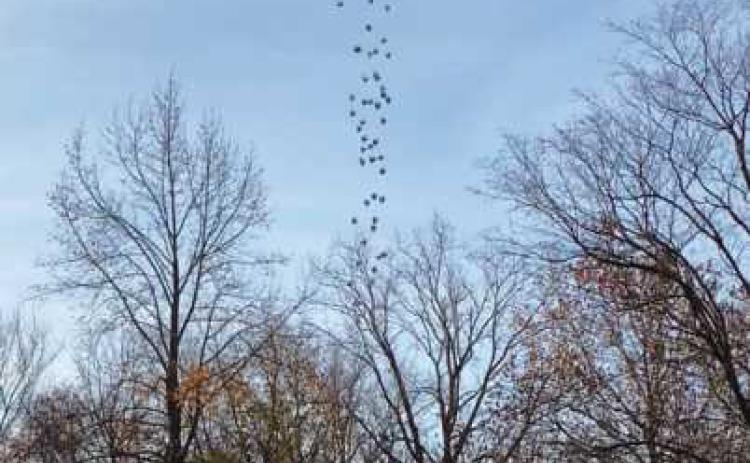 A drone will drop foam turkeys during the Wood County Museum’s fund-raising event.