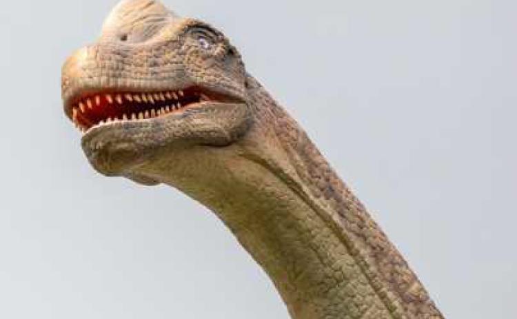 More than 20 animatronic dinosaurs will be on display at the African Safari Wildlife Park this summer.