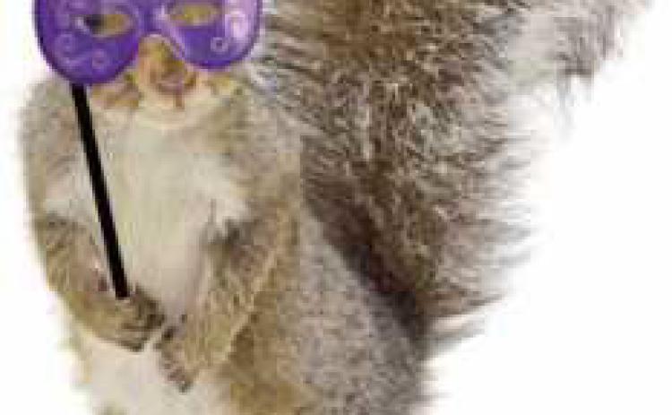 Guests of the fund-raiser are invited to dress as their favorite animals with costumes, masks or animal print attire.