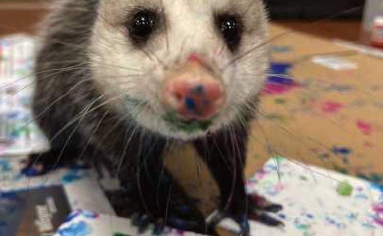 Online art auction to benefit Nature’s Nursery