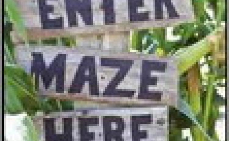 Corn maze now open