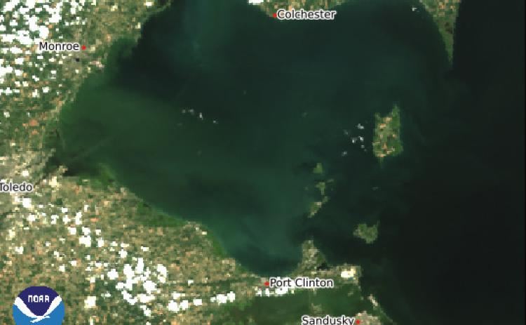 The 240 square mile area of algae has increased significantly since last week, extending from Maumee Bay east to Magee Marsh. This photo was taken on July 27.