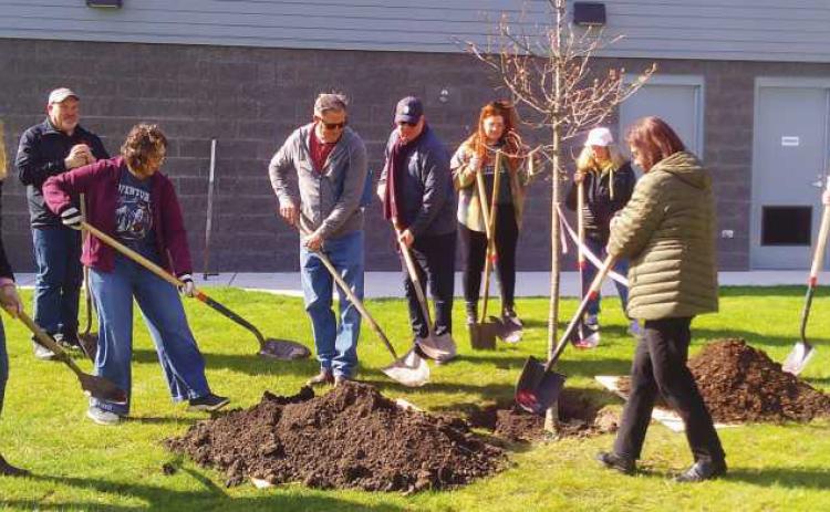 City holds Arbor Day event