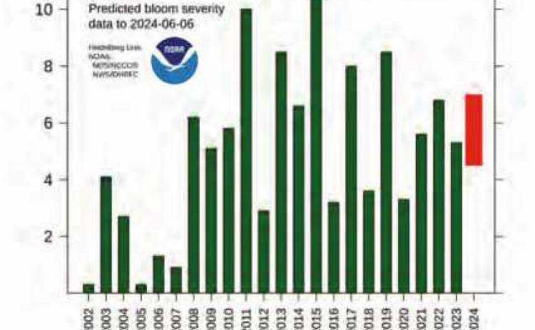 The rightmost bar represents the possible severity of this summer’s algae bloom, ranging from a zero to ten as the most. This summer’s bloom is projected between a 4.5 and 7.