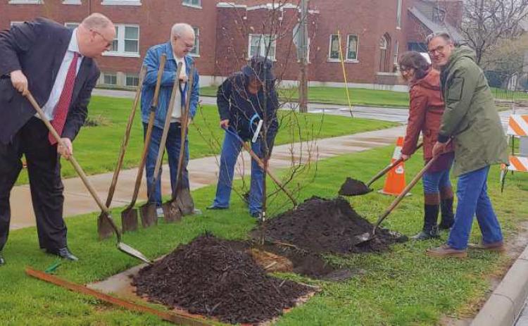 Arbor Day Foundation names Rossford a 2023 Tree City USA