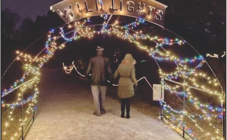 Visit Wild Lights January 19-21 at W.W. Knight Preserve.