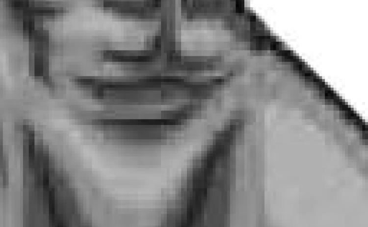 Alt Text for Image