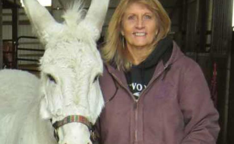 Nancy Swigart, founder and director of the Healing Barn, with barn mascot Jack the donkey.