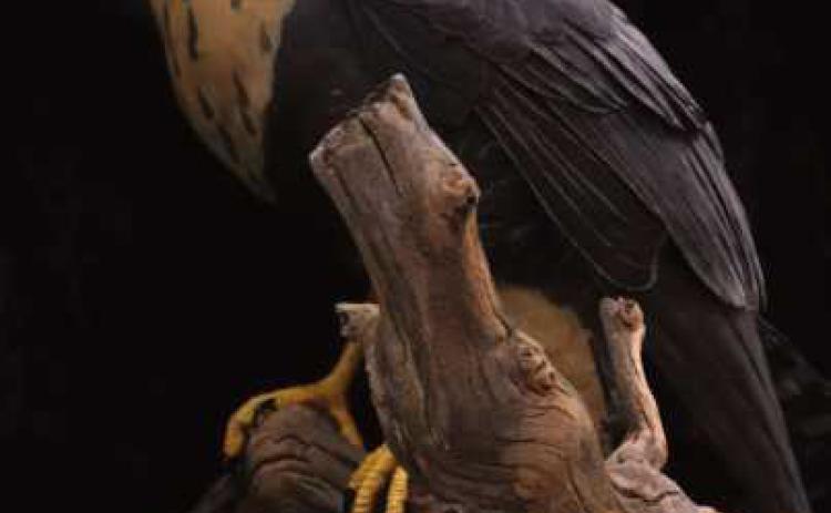 Many types of woodcarvings will be on display at the annual show.