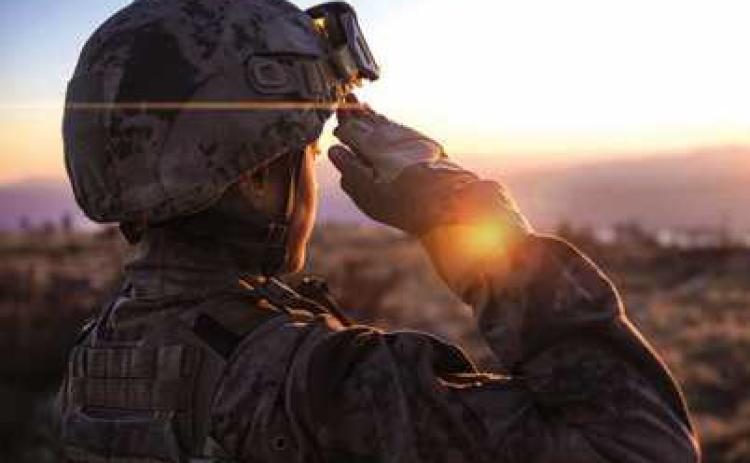 Eight ways to honor veterans