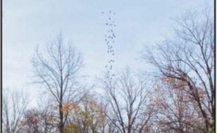 A drone will drop foam turkeys during the Wood County Museum’s fund-raising event.