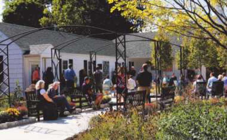 The new 577 courtyard garden oasis renovation.