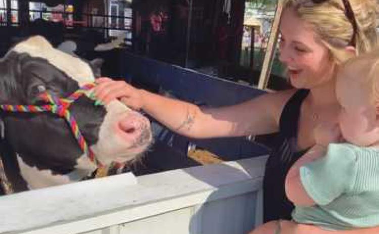 150th Wood County Fair held in Bowling Green July 30 - August 6