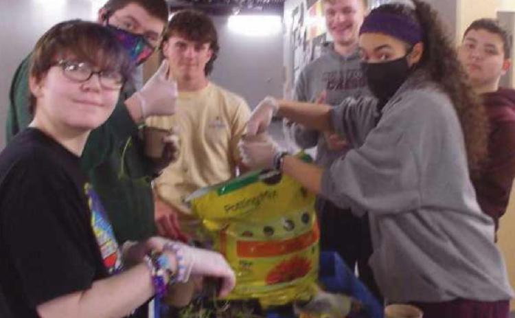 Pictured, above and below, are students in the RHS entrepreneurship class working on growing seedlings.