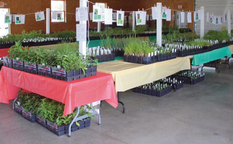 Friends of Wood County Parks host annual native plant sale at fairgrounds