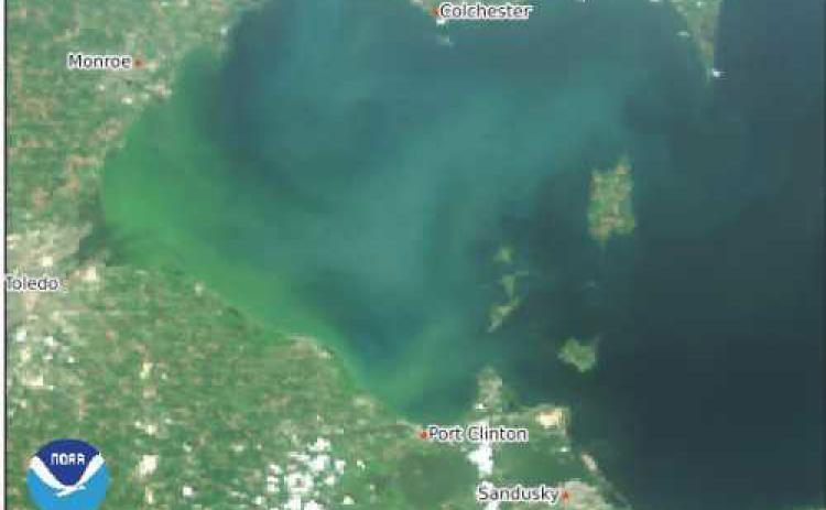 An image of the western Lake Erie basin taken from the Copernicus Sentinel-3a satellite on July 31.