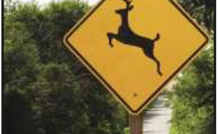 Ohio Highway Patrol warns motorists to look out for deer