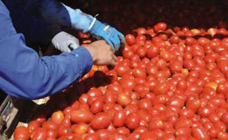 Fulton County Breakfast on the Farm set for June 24