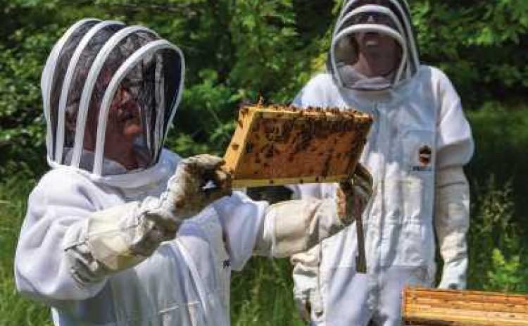 Honeybee hives produce unexpected opportunities for Owens Community