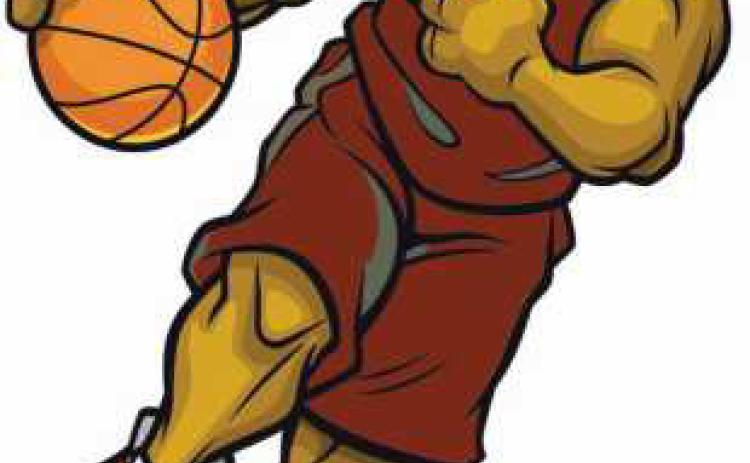 Bulldogs edged by Ottawa-Glandorf, 58-54