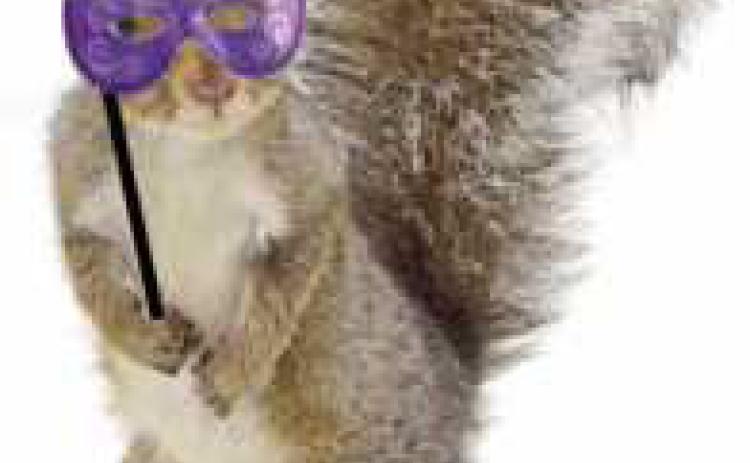 Guests of the fund-raiser are invited to dress as their favorite animals with costumes, masks or animal print attire.