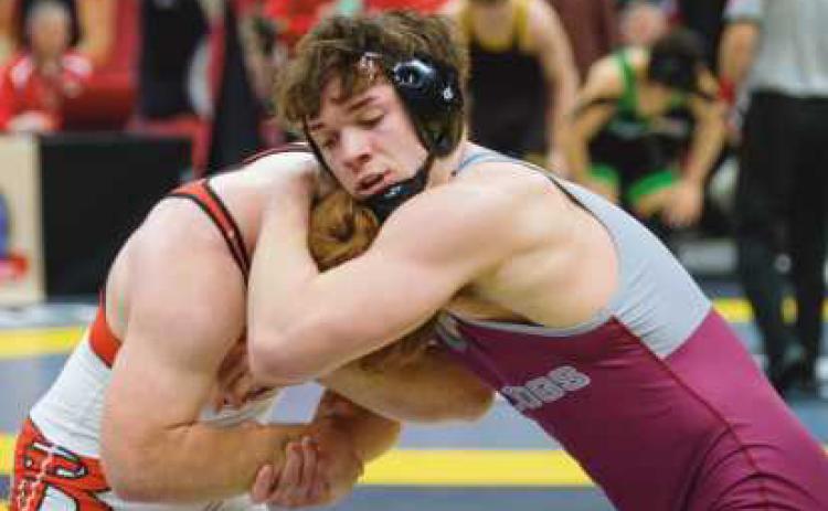 RHS wrestlers compete at OHSAA Tournament