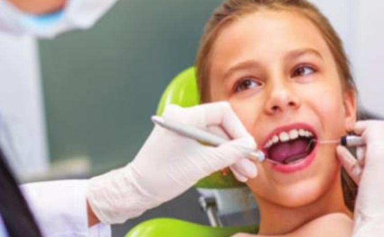 Toledo Dental Society offering free dental care for children