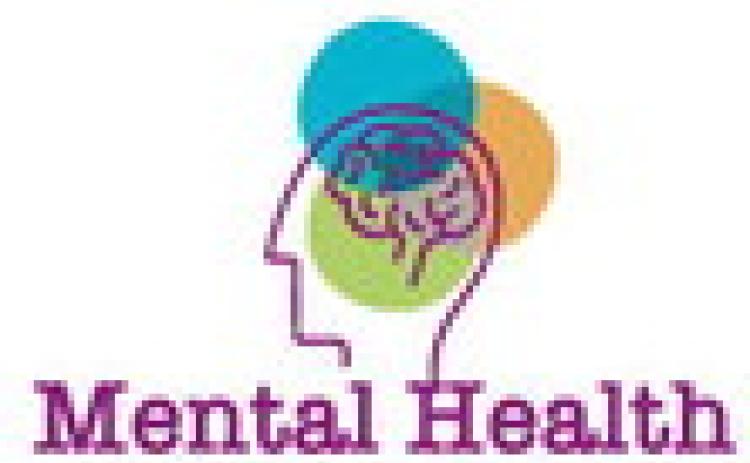 NAMI to hold conference May 10 at Levis Commons
