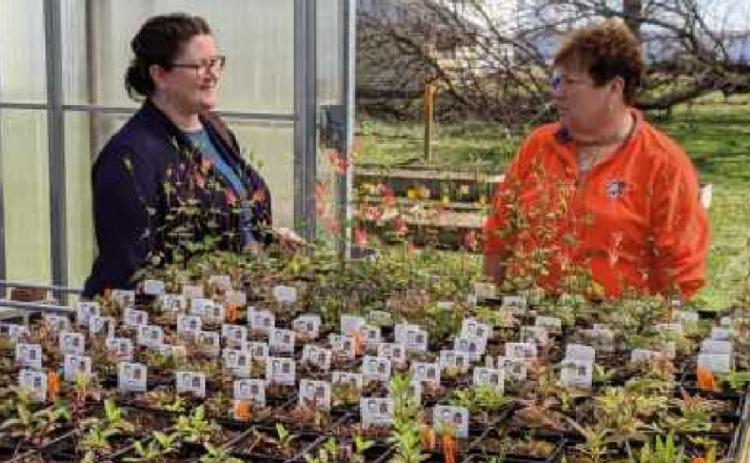 Discussing some of the native plants that will be available for sale are, left, Diana Ziems, park district administrative assistant, and park commissioner Sandy Wiechman.