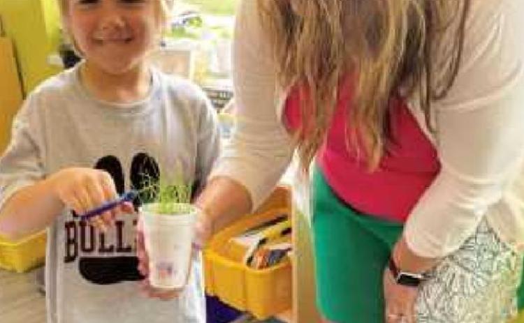 Kindergarten class learns about plants